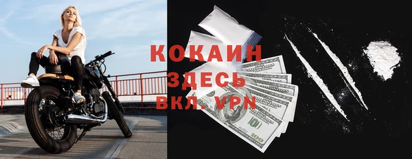 ПСИЛОЦИБИНОВЫЕ ГРИБЫ Валдай