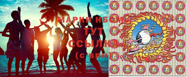 ПСИЛОЦИБИНОВЫЕ ГРИБЫ Валдай