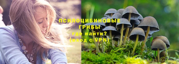 тгк Чекалин
